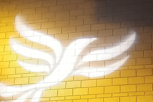 Lib Dem logo bird projected on blockwork